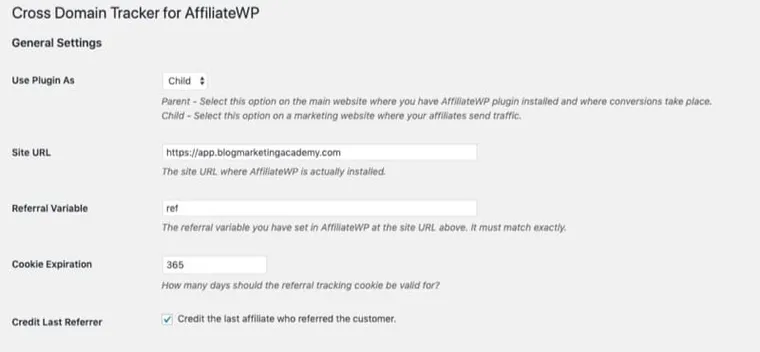 cross-domain-affiliatewp