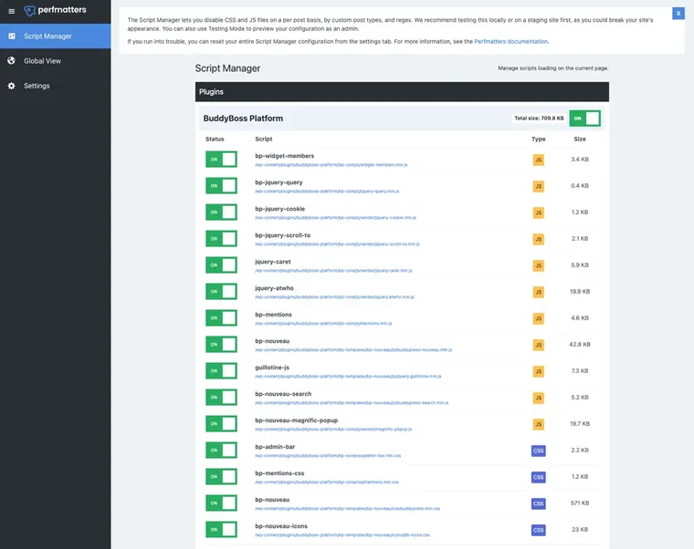 PerfMatters - Script Manager