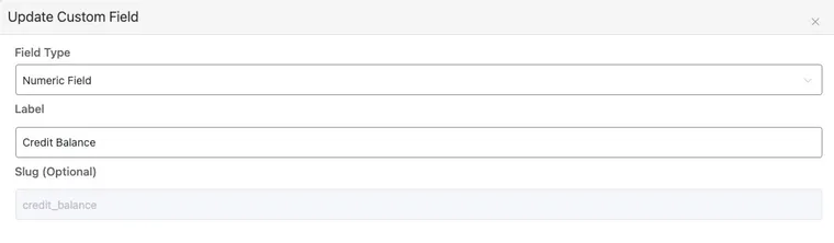 Service Credit System - FluentCRM Custom Field