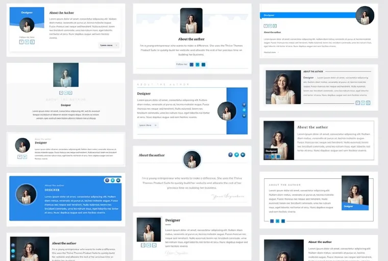 thrive-theme-builder-author-box