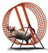 mouse-wheel.jpg
