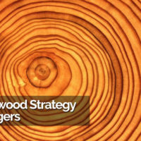 The Redwood Strategy For Bloggers