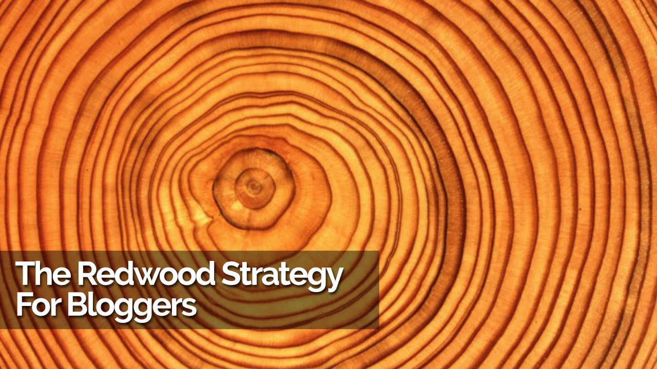 The Redwood Strategy For Bloggers