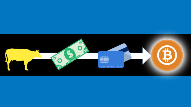 The Future Of Online Business: Cryptocurrencies And Why I Believe You Should Be Accepting Bitcoin.