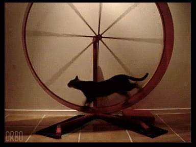 What content strategy usually looks like for bloggers.