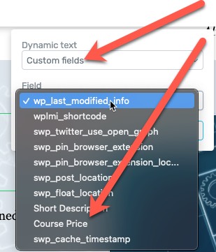 theme-builder-dynamic-text-custom-field