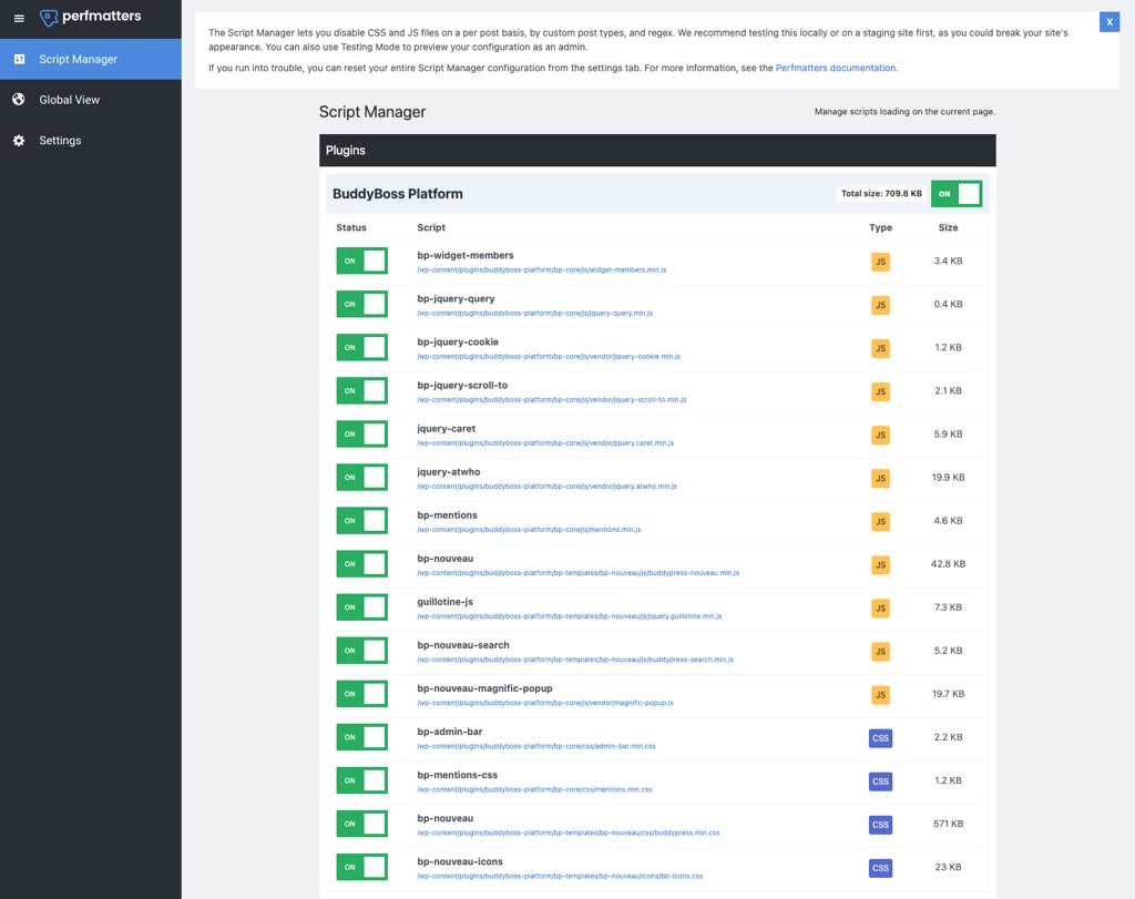 PerfMatters - Script Manager