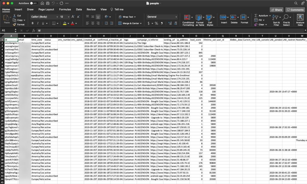 CSV List Export in Excel