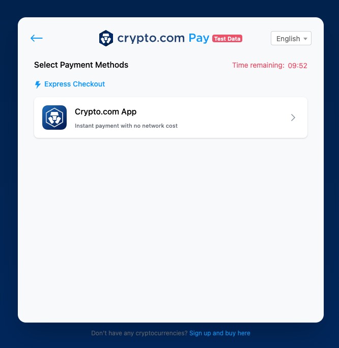Accept Crypto Payments - Test Payment