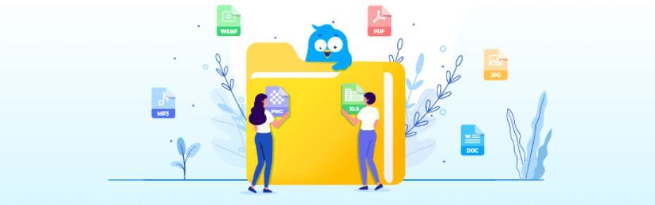 Filebird Banner
